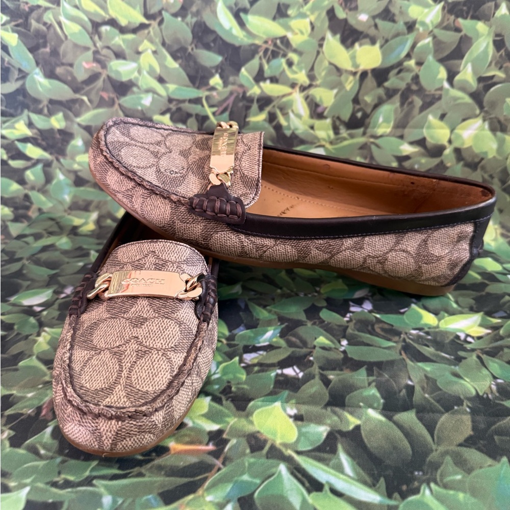 Coach Signature Pattern Loafers with Gold Accent